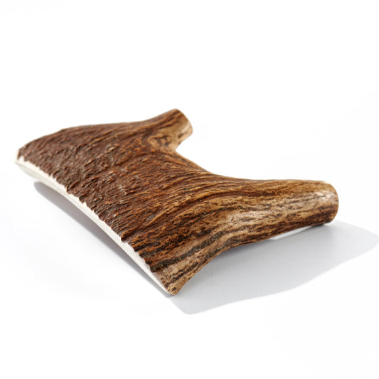 Moose Antler Chew - Large