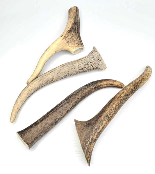 EcoKind Elk Antler Chew - Whole